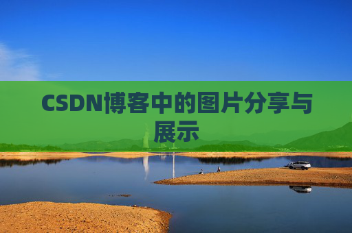 CSDN博客中的图片分享与展示